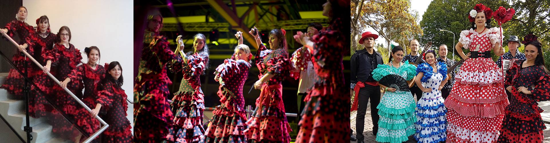 petreceri de lux dansuri flamenco