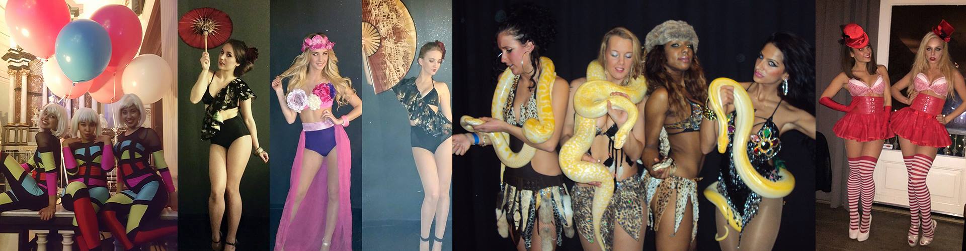 petreceri de lux go-go dans