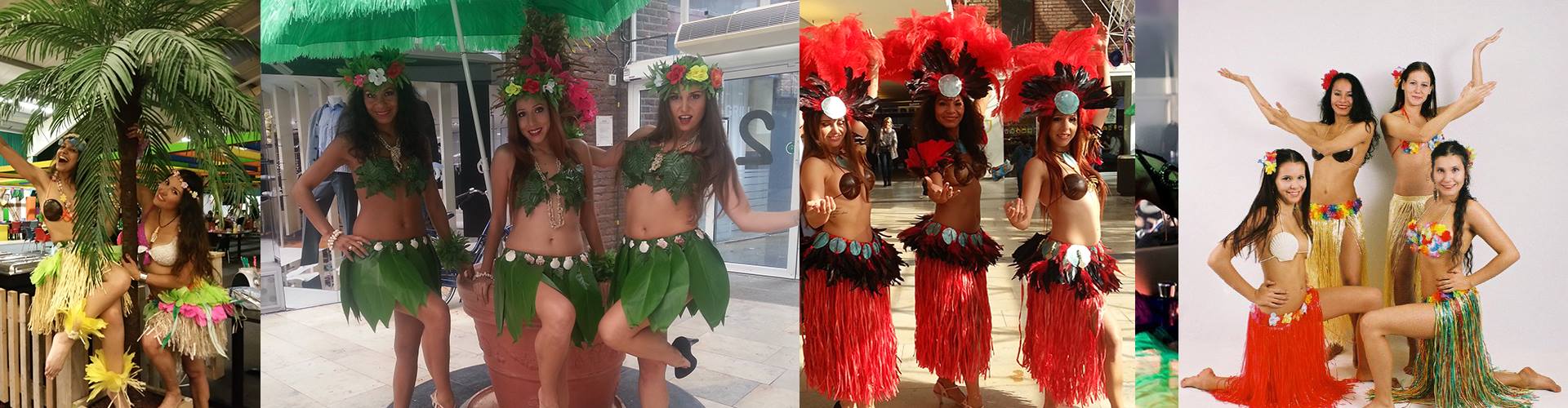 Petreceri-de-Lux-Muzica